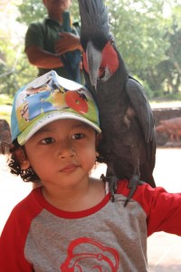 Kendra-Nagarya-Taman-Burung-1